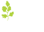 The Coriander Logo